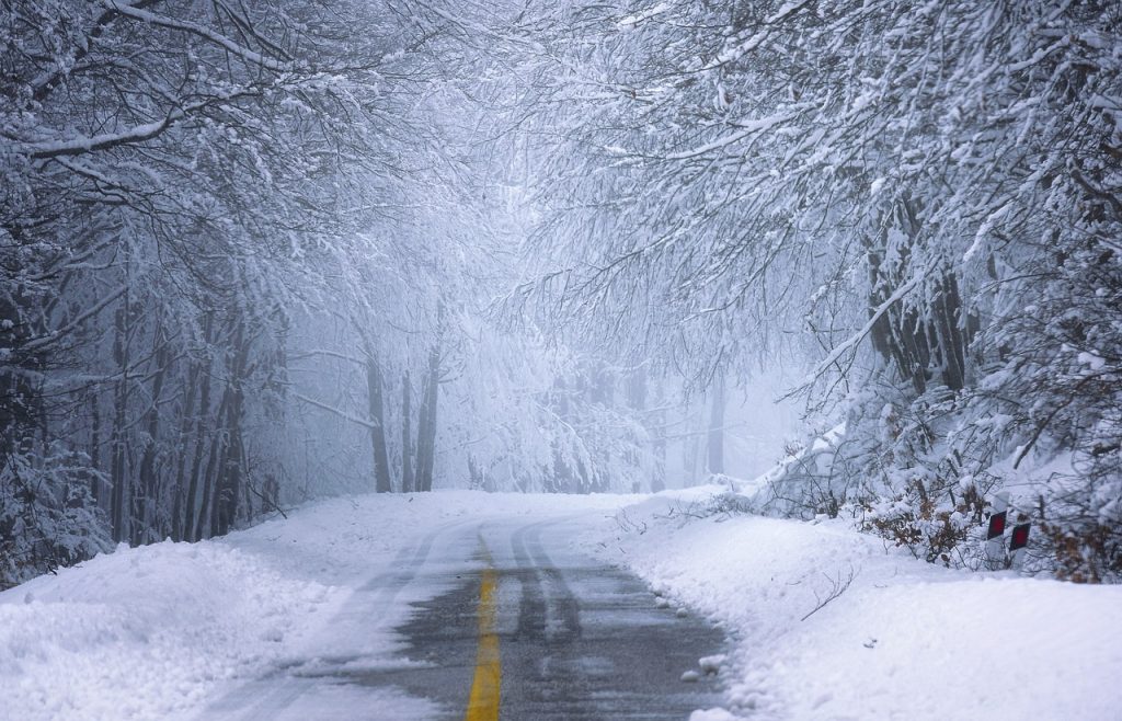 road, forest, snow, snømåking priser, brøytepriser, brøyting