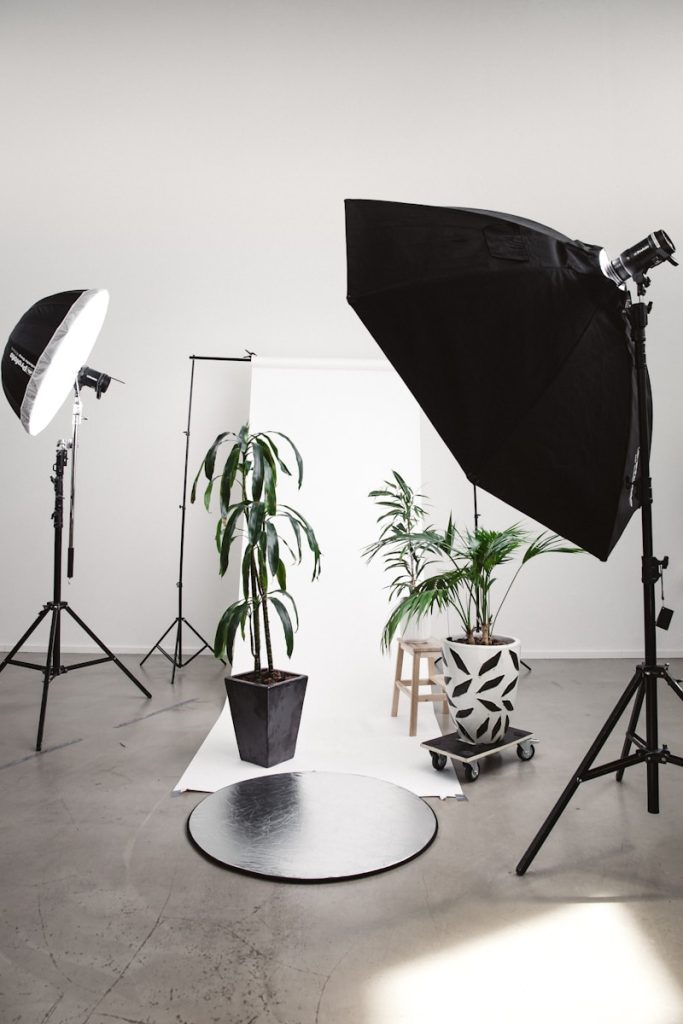 three green linear leafed plants beside softbox, prefesjonell fotografering